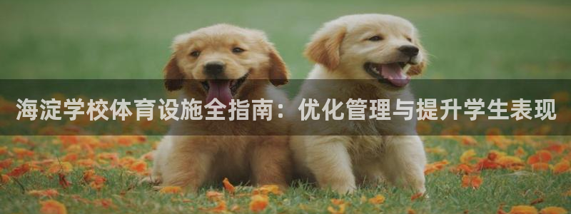 意昂3娱乐首页网站大全：海淀学校体育设施全指南：优化