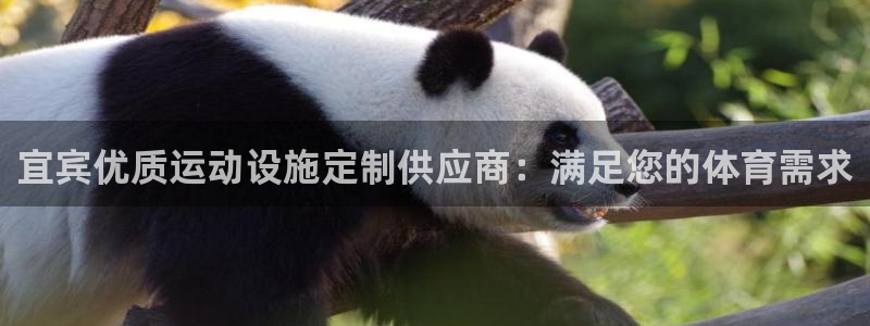 意昂平台体育：宜宾优质运动设施定制供应商：满足您的体育需求