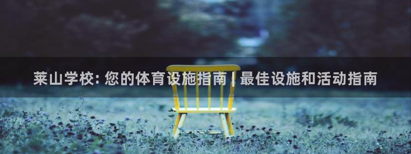 意昂体育3平台注册：莱山学校: 您的体育设施指南 | 最佳设