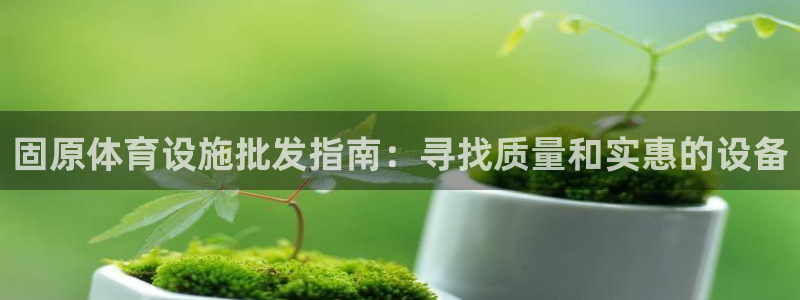 意昂体育3开户：固原体育设施批发指南：寻找质量和实惠