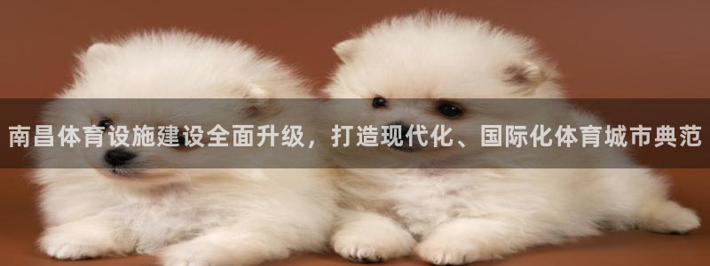 意昂3娱乐网站