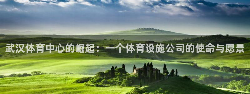 海南意昂体育3发展怎么样