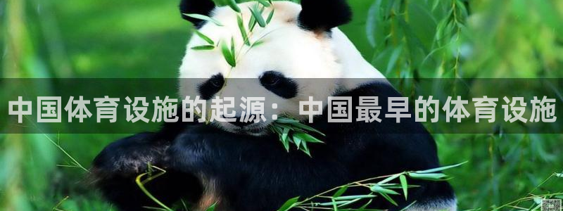 意昂体育3招商电话是多少号码：中国体育设施的起源：中