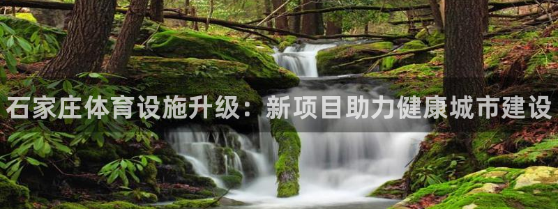 意昂体育3招商电话地址是多少：石家庄体育设施升级：新项目助力