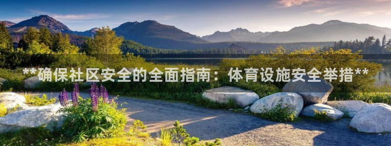 意昂3科技：**确保社区安全的全面指南：体育设施安全