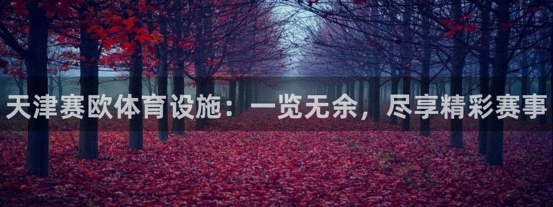 意昂体育3平台是正规平台吗安全吗：天津赛欧体育设施：