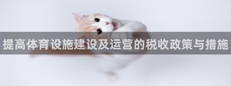 意昂体育3注册：提高体育设施建设及运营的税收政策与措施