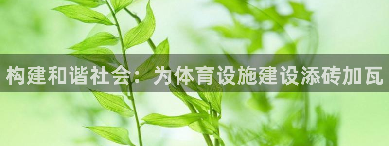 意昂3娱乐首页官网下载