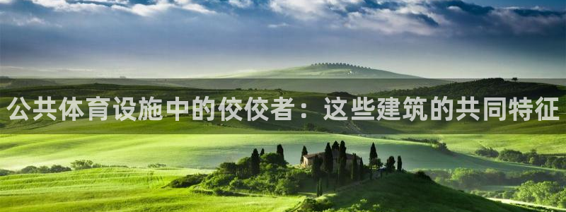 意昂3娱乐首页网站大全