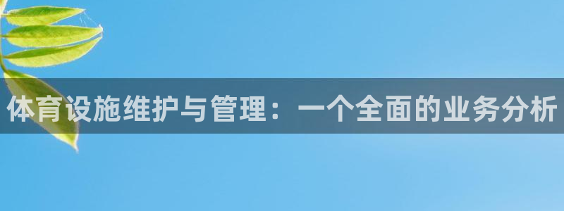 意昂3官网：体育设施维护与管理：一个全面的业务分析