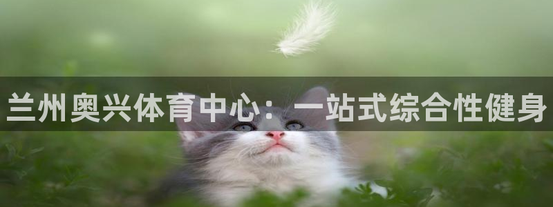 意昂3娱乐代理怎么样：兰州奥兴体育中心：一站式综合性健身 