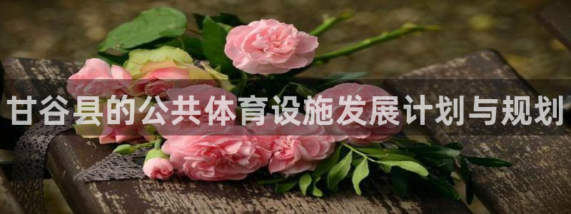 意昂体育3平台假的吗是真的吗：甘谷县的公共体育设施发展计划与