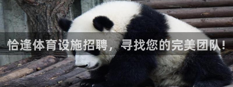 意昂体育3平台注册要钱吗安全吗：恰逢体育设施招聘，寻