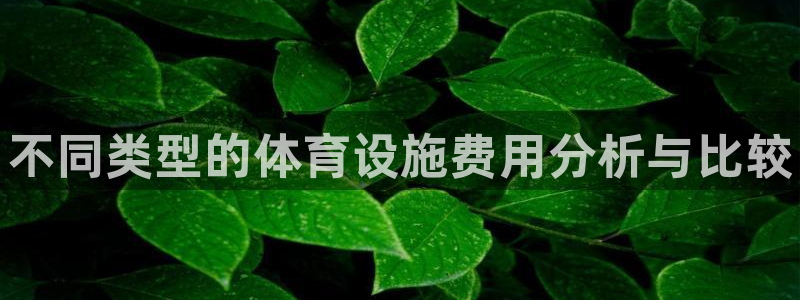 意昂3官方：不同类型的体育设施费用分析与比较