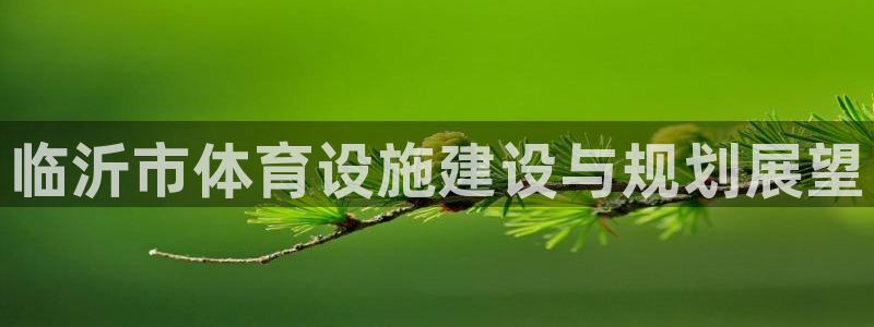 意昂体育3平台假的吗是真的吗：临沂市体育设施建设与规