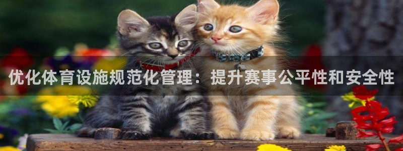 意昂3集团：优化体育设施规范化管理：提升赛事公平性和安全性