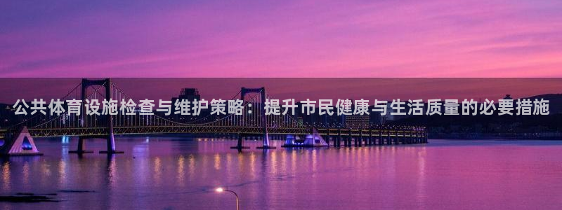 意昂体育3注册：公共体育设施检查与维护策略：提升市民健康与生