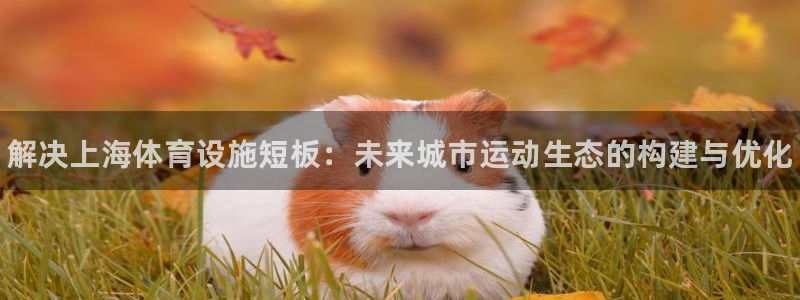 海南意昂体育3发展怎么样：解决上海体育设施短板：未来城市运动 